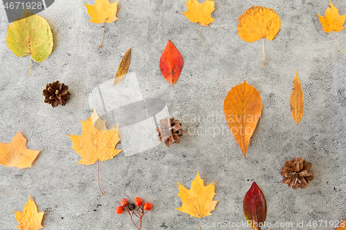 Image of dry autumn leaves, rowanberries and pine cones