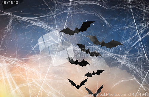 Image of black bats over starry night sky and spiderweb