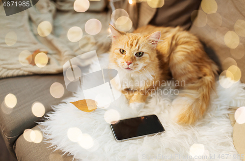 Image of red cat lying on sofa with smartphone at home