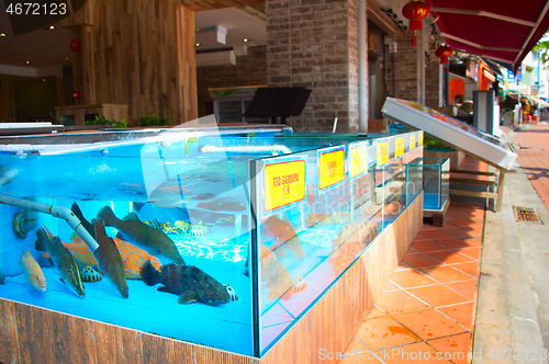 Image of Fish restaurant in Singapore
