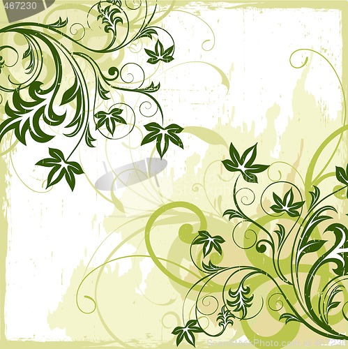 Image of floral background