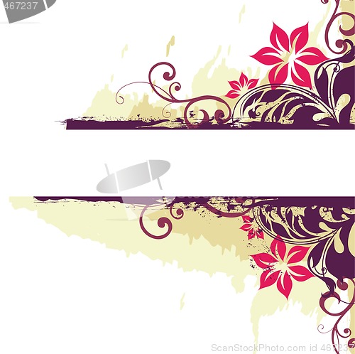 Image of floral frame
