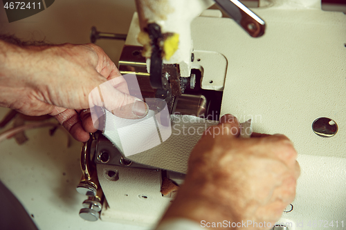 Image of Sewing process of the leather belt. old Man\'s hands behind sewing.