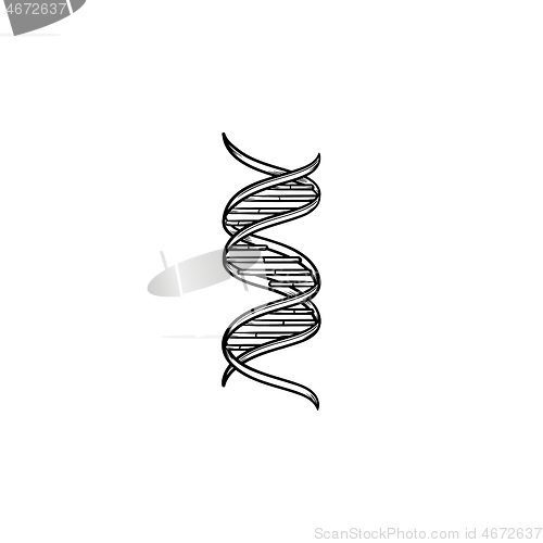 Image of DNA genetic chain hand drawn outline doodle icon.