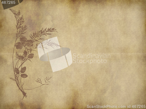 Image of old parchment paper