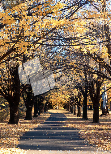 Image of autumn country road