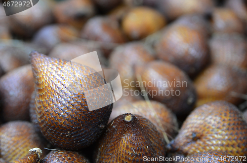 Image of Sweet tropical fruits of palm greens snake fruit 