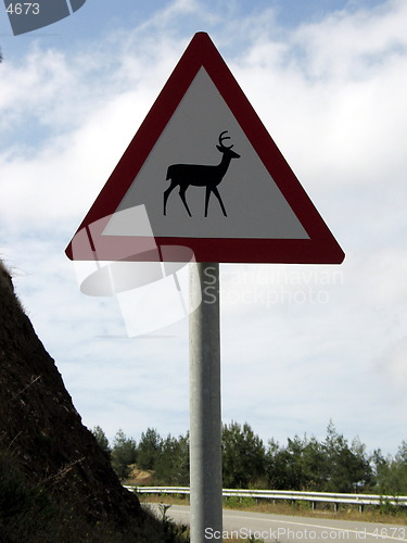 Image of Animal crossing sign. Cyprus