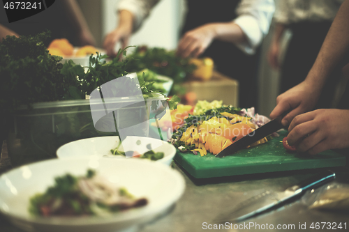 Image of team cooks and chefs preparing meals