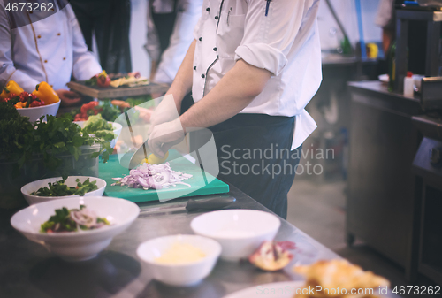 Image of team cooks and chefs preparing meal