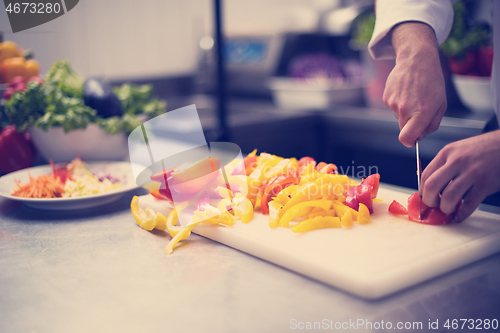 Image of Chef cutting fresh and delicious vegetables