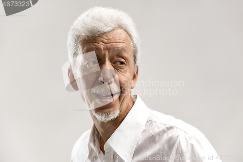 Image of The happy senior business man standing and smiling against gray background.