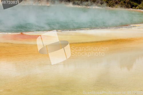 Image of geothermal activity at Rotorua in New Zealand