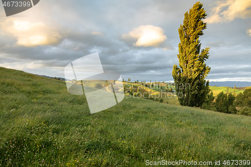 Image of typical rural landscape in New Zealand