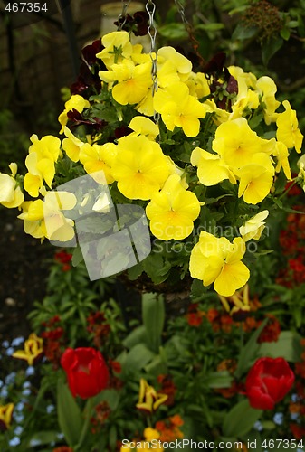 Image of English Garden