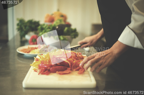 Image of Chef cutting fresh and delicious vegetables