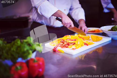 Image of Chef cutting fresh and delicious vegetables