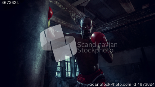 Image of Hand of boxer over black background. Strength, attack and motion concept