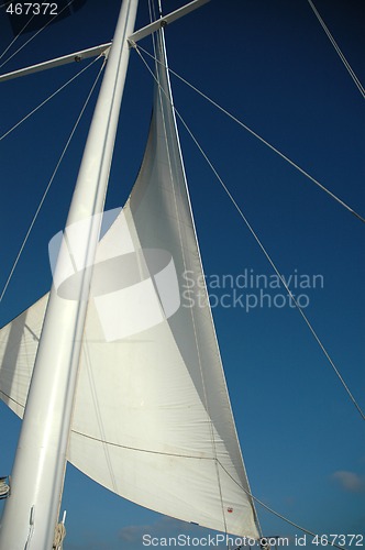 Image of SPINNAKER