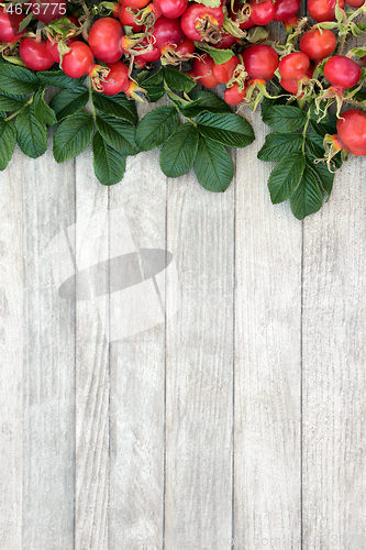 Image of Rosehip Background Border