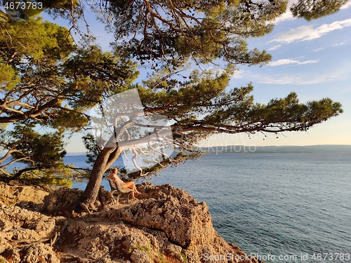 Image of Pensive woman on vacations, sitting and relaxing under large pine tree on bench by dip blue sea enjoying beautiful sunset light in Brela, Makarska region, Dalmatia, Croatia