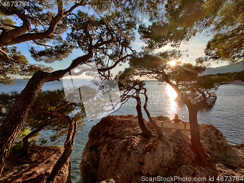 Image of Pensive woman on vacations, sitting and relaxing under large pine tree on bench by dip blue sea enjoying beautiful sunset light in Brela, Makarska region, Dalmatia, Croatia