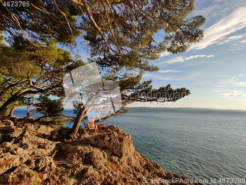 Image of Pensive woman on vacations, sitting and relaxing under large pine tree on bench by dip blue sea enjoying beautiful sunset light in Brela, Makarska region, Dalmatia, Croatia