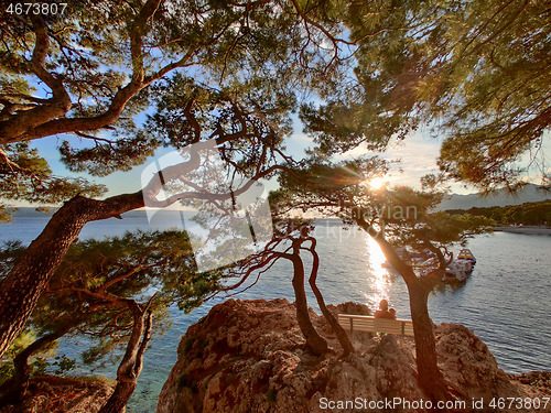 Image of Pensive woman on vacations, sitting and relaxing under large pine tree on bench by dip blue sea enjoying beautiful sunset light in Brela, Makarska region, Dalmatia, Croatia