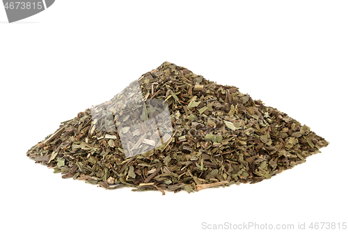 Image of Plantain Herb Herbal Medicine