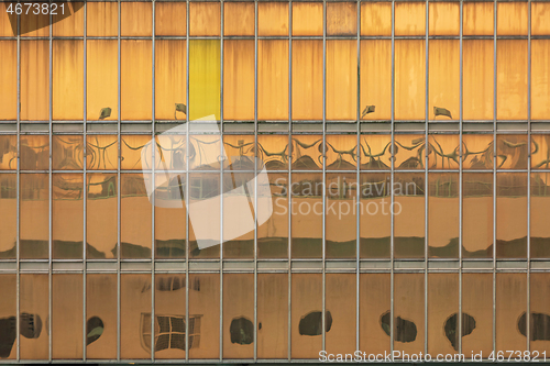 Image of Golden Windows
