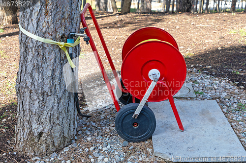 Image of Garden Hose Cart