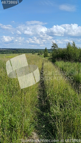 Image of Beautiful summer landscape 