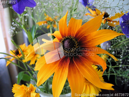 Image of Beautiful bright bouquet with rudbeckia flower 