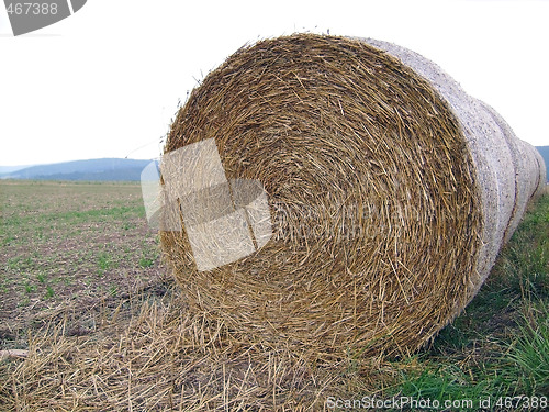 Image of Roll of straw in field