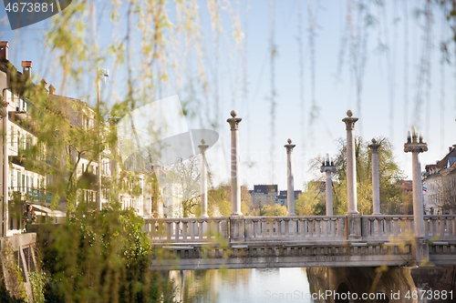 Image of Unique Plecnik arhitecture of Cobblers bridge seen trough willow branches in old medieval city center of Ljubljana, Slovenia