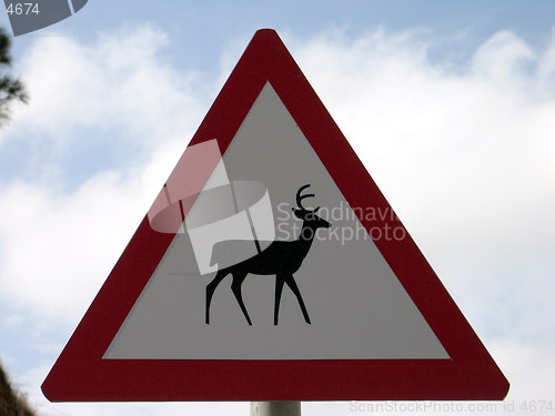 Image of Animal crossing sign 2. Cyprus