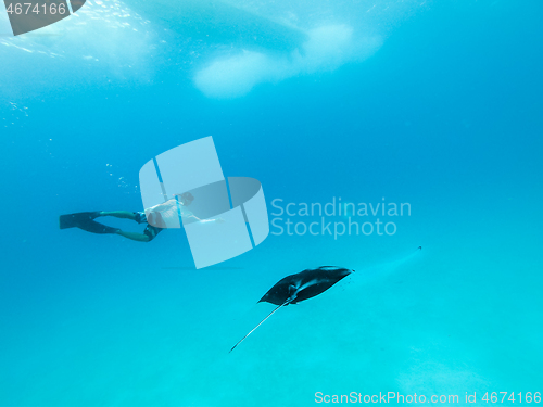 Image of Underwater view of hovering Giant oceanic manta ray, Manta Birostris , and man free diving in blue ocean. Watching undersea world during adventure snorkeling tour on Maldives islands.