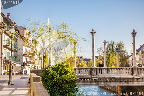 Image of Unique Plecnik arhitecture of Cobblers bridge seen trough willow branches in old medieval city center of Ljubljana, Slovenia