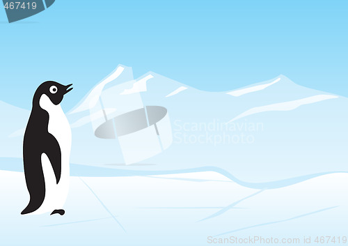 Image of Penguin