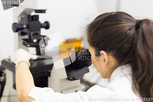 Image of Life science researcher microscoping in genetic scientific laboratory.