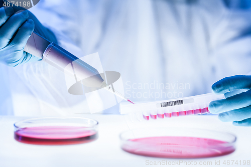 Image of Detail of scientist working in the corona virus vaccine development laboratory research with a highest degree of protection gear.