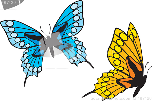 Image of Butterflies