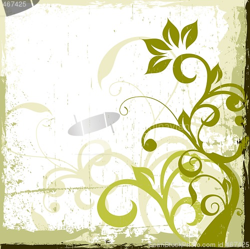 Image of floral background