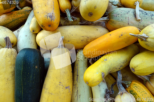 Image of Bunch of zucchini lying on the ground