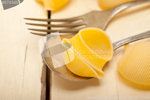 Image of Italian snail lumaconi pasta 