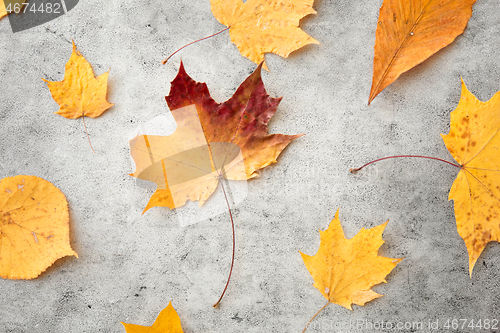 Image of dry fallen autumn leaves on gray stone background