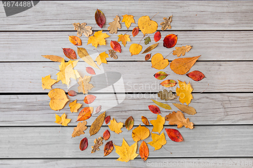 Image of round frame of different dry fallen autumn leaves