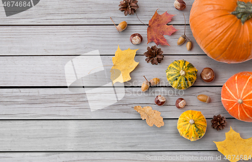 Image of autumn leaves, chestnuts, acorns and pumpkins