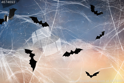 Image of black bats over starry night sky and spiderweb