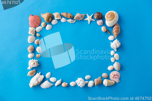 Image of frame of different sea shells on blue background